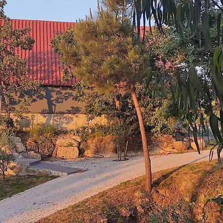 Chalet Casa Do Neto. Anexo Vale Da Ginjeira. *